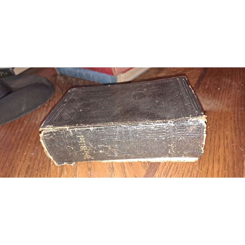 Die Bibel  ober Die Ganze Heilige Schrift bes Alten un Nuen Testament 1887